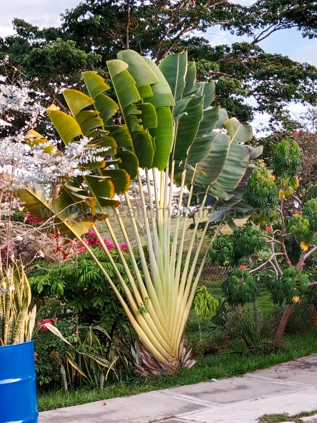Casa en el Barrio La Arboleda