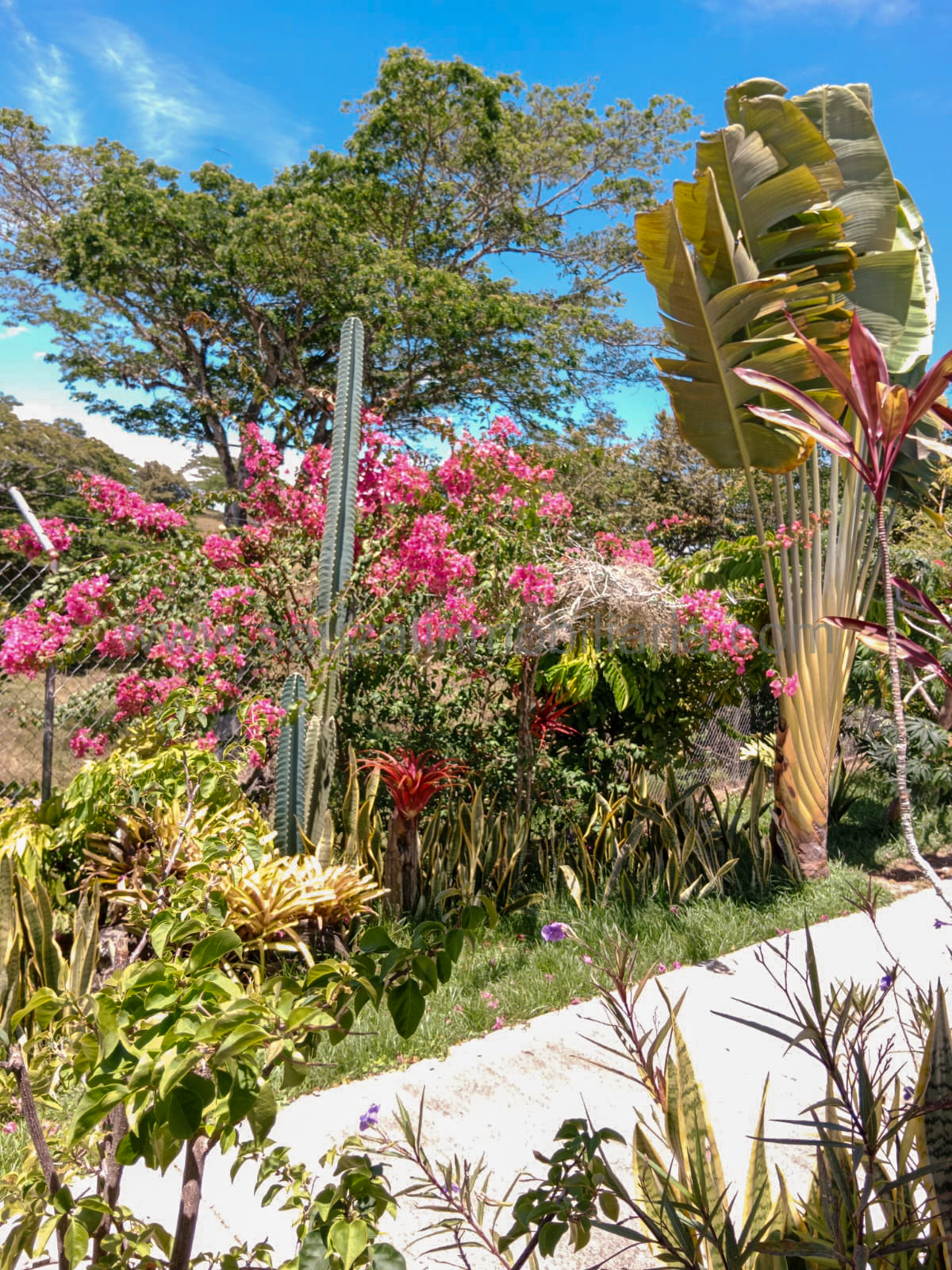 Casa en el Barrio La Arboleda
