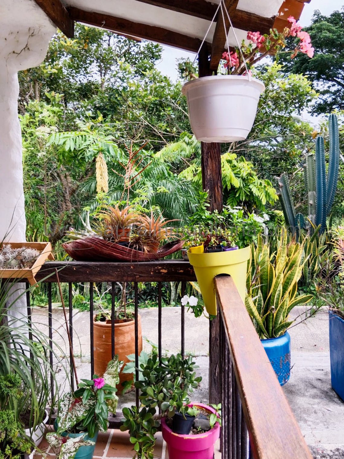 Casa en el Barrio La Arboleda