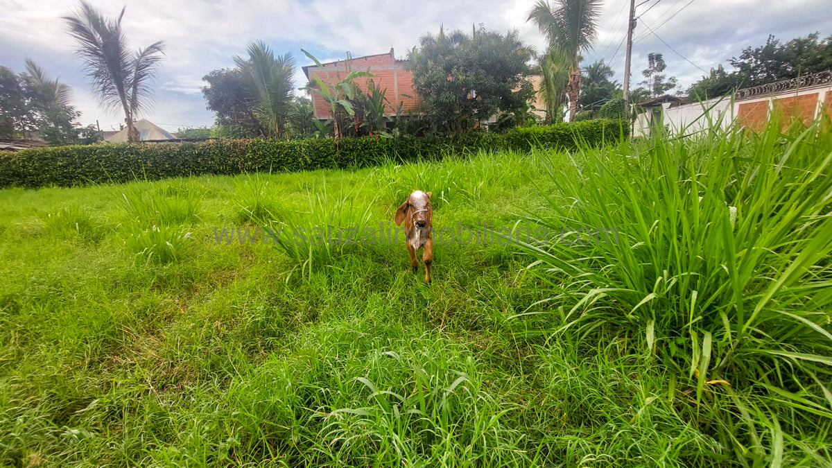 Lote en Villas del Limonar, Zaragoza