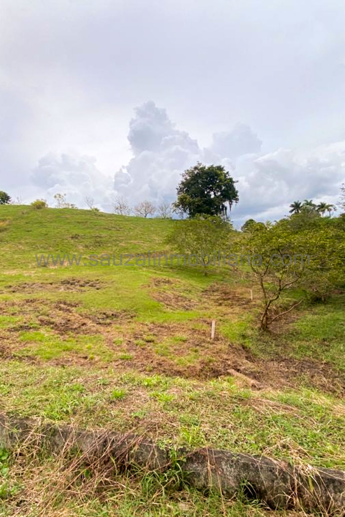 Lote en Conjunto Campestre