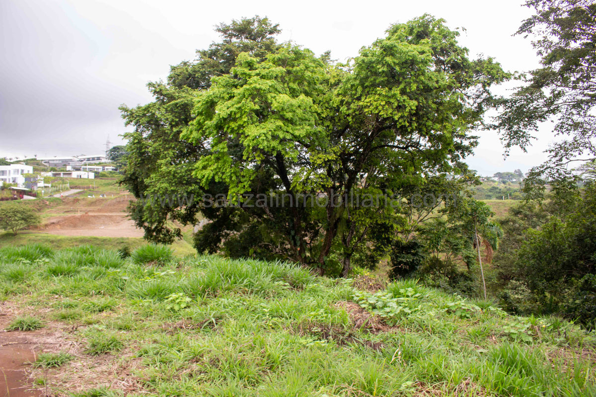 Lote en Espectacular Condominio Campestre Vía Cerritos