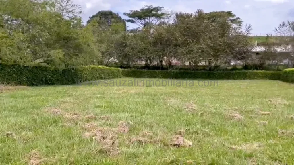 Imagen principal de la propiedad