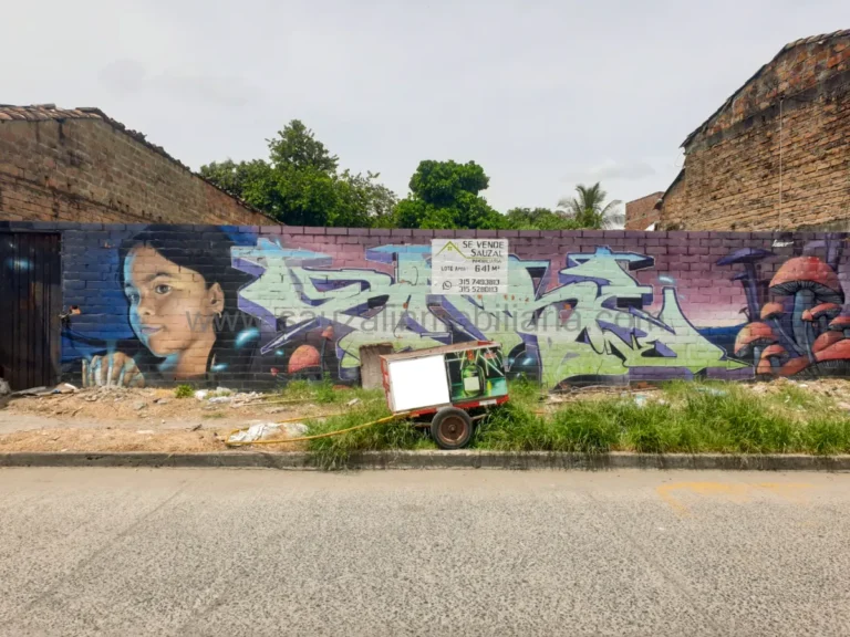 Lote en el Barrio El Llano