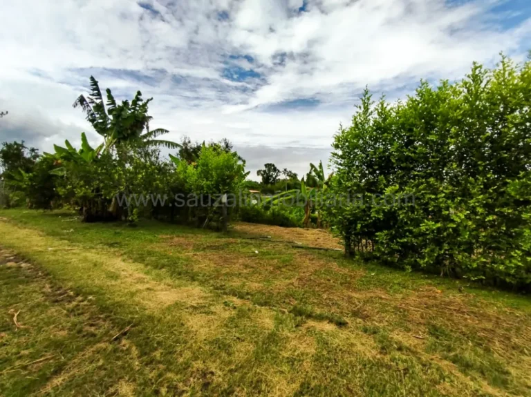 Lote en Alcalá, Vereda La Estrella